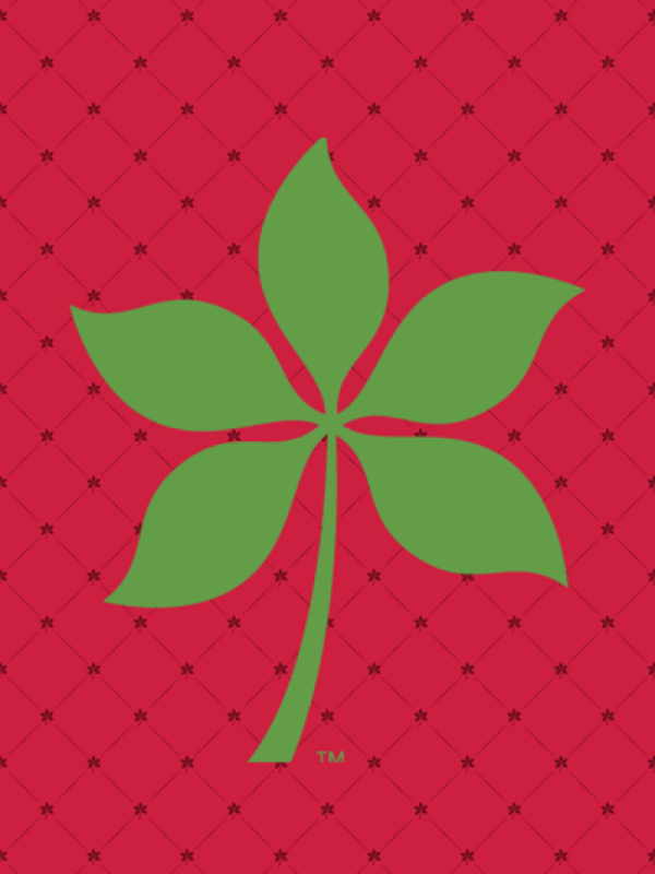 Buckeye leaf